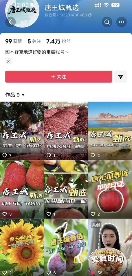 图片11